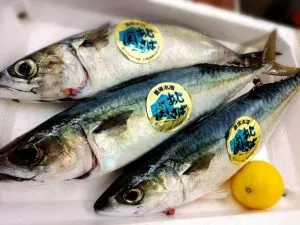 関あじ・関さば